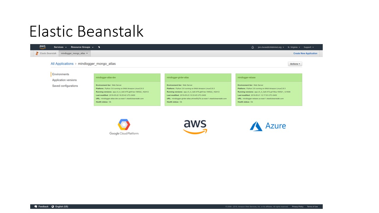 Elastic Beanstalk application screen