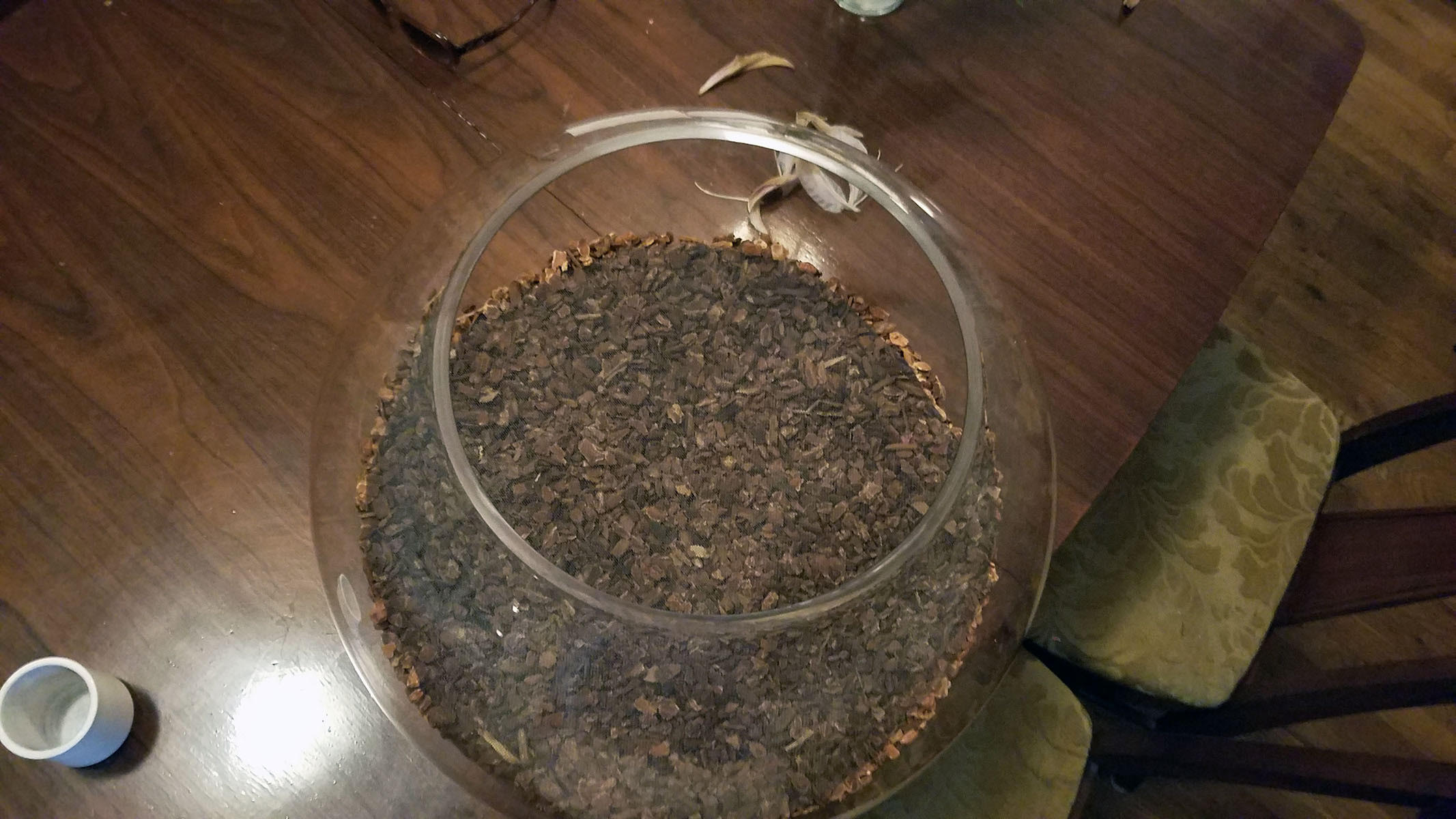 terrarium media bark top